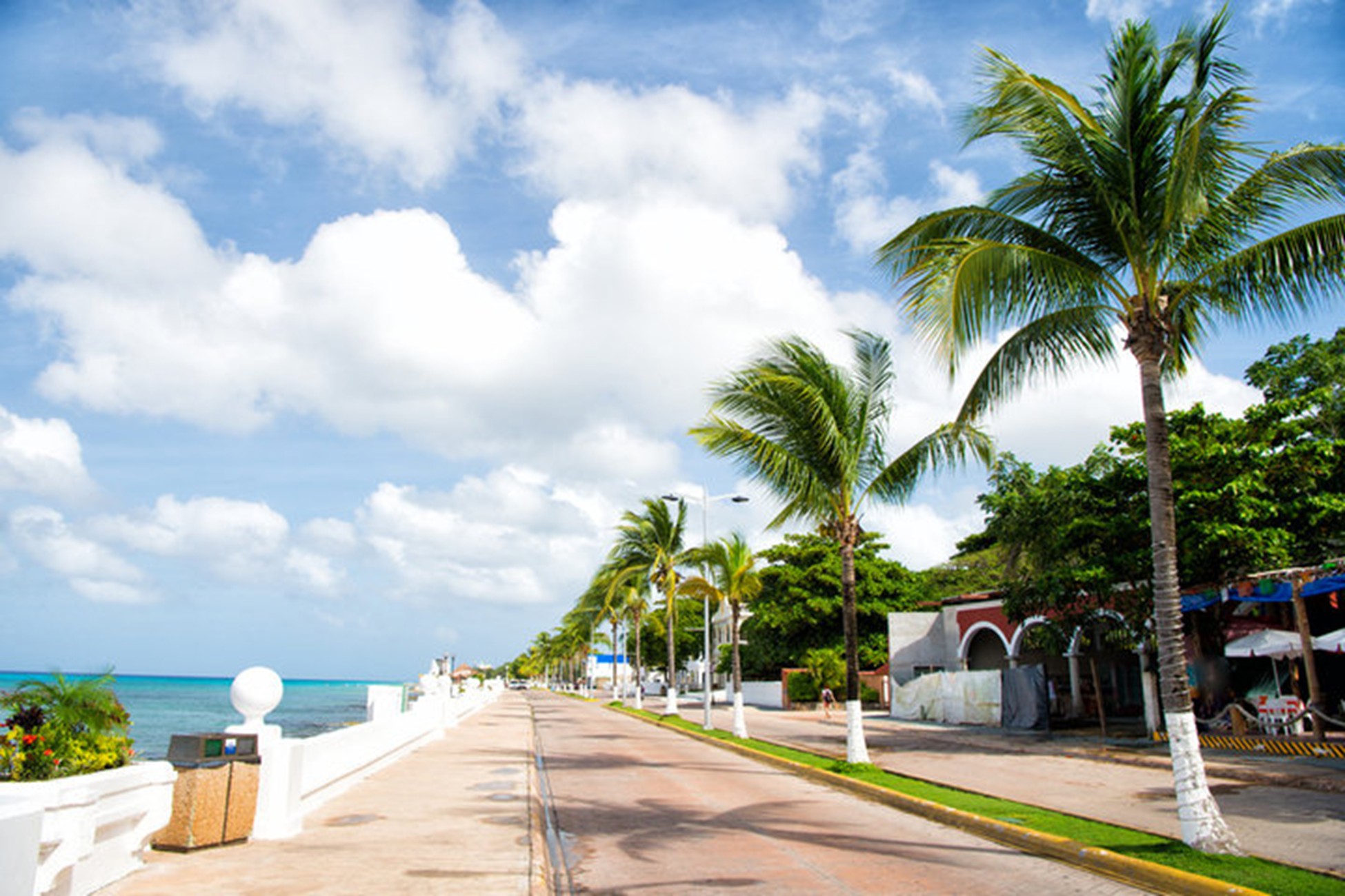 Scott Kramer of Mazatlán on Winter Travel Wellness in Mexico