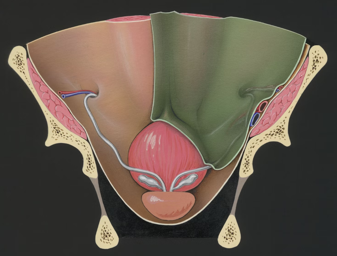 Is Your Diet Sabotaging Your Prostate Health? 4 Tips to Prevent Further Damage 