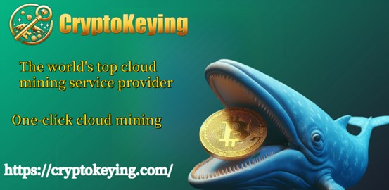 Top Rated Bitcoin (BTC) Cloud Mining Platforms of 2024: Help to Earn Daily Passive Income