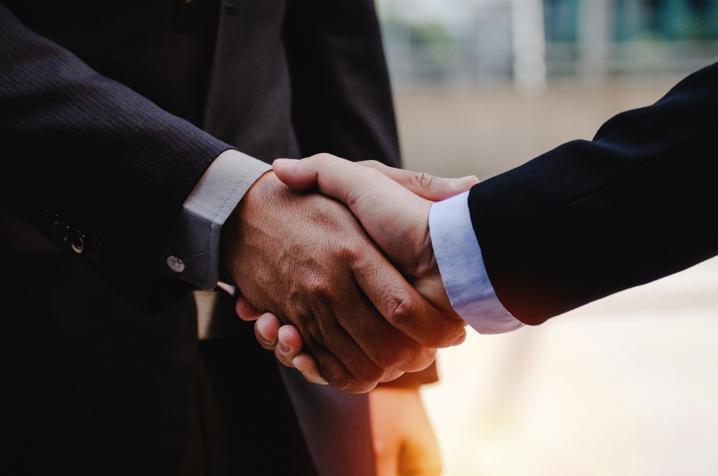 William S Timlen CPA On Valuation in Distress